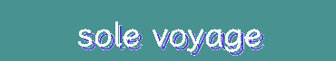 Sole Voyage - Footwear for Every Step of Your Journey